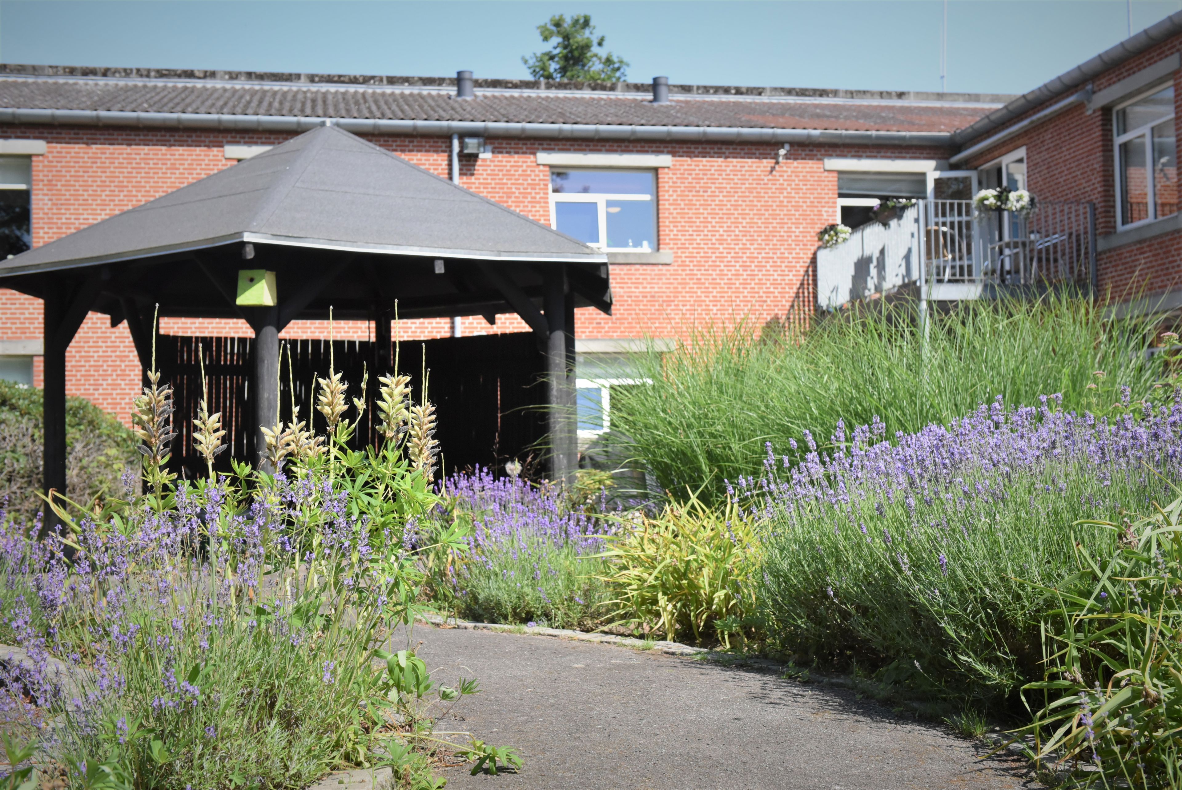 Have på Vorup Plejehjem