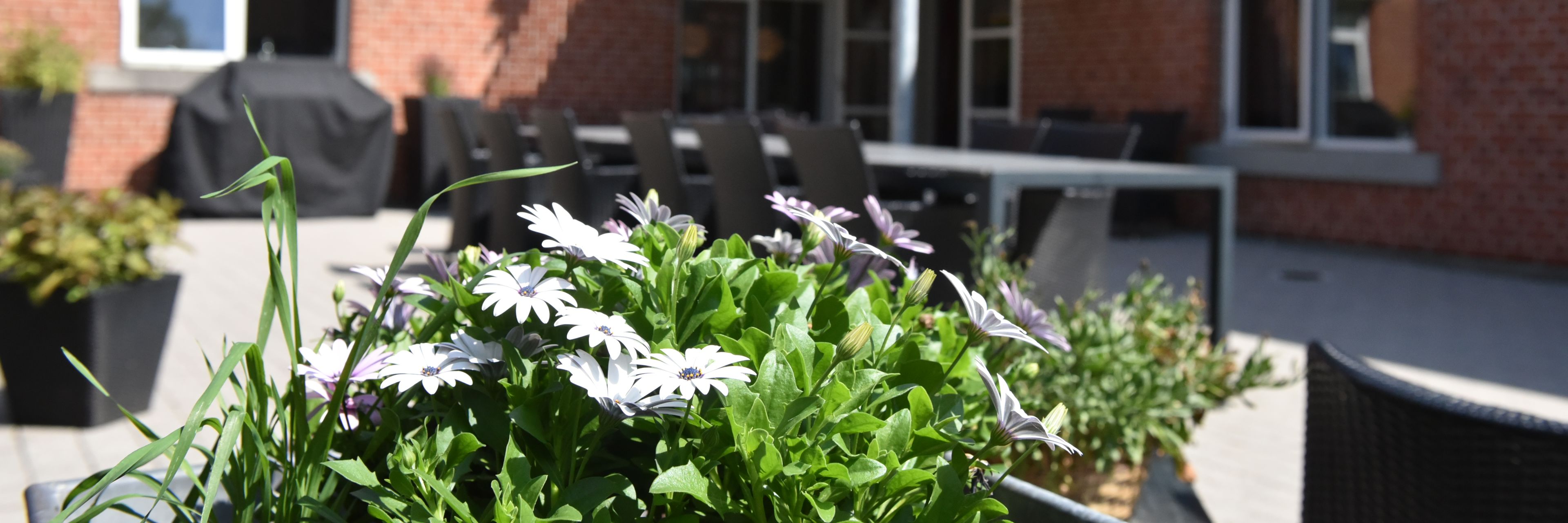 Udeområde på Vorup Plejehjem